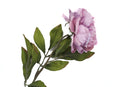 Everyday Longstem Peony Glitter - Lavender - 26 inch - The Country Christmas Loft