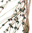 Mini Berry Garland Burgandy - The Country Christmas Loft