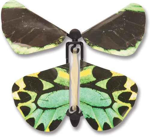 Wind up Australian Butterfly - Green - The Country Christmas Loft
