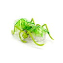 Hexbug Micro Ant Mechanicals - Green - The Country Christmas Loft