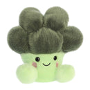 Luigi Broccoli Palm Pal