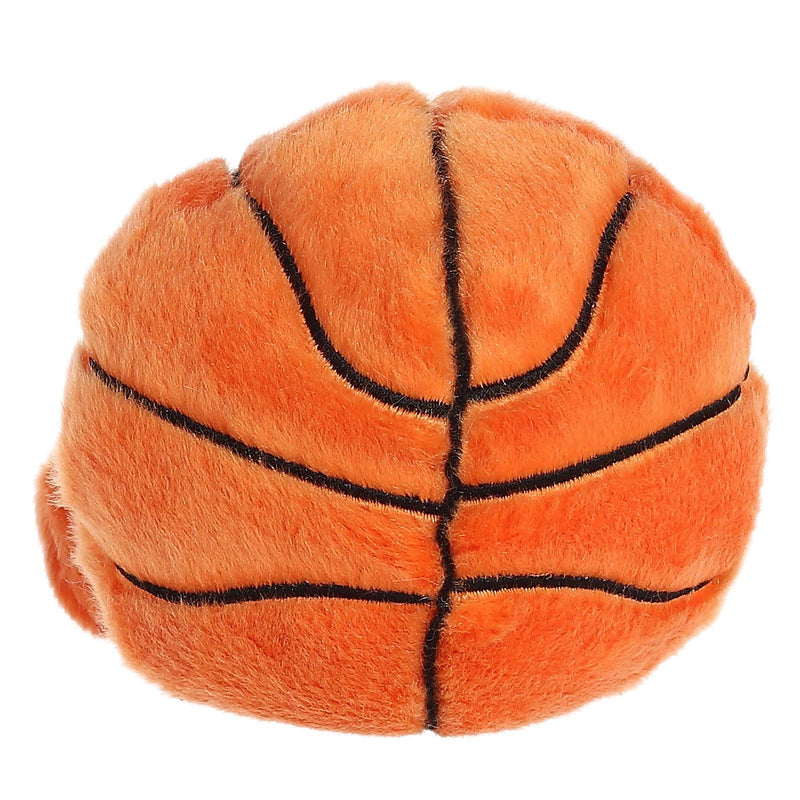 Hoops Basketball  Palm Pal