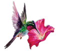 Hummingbird Screen Door Savers -