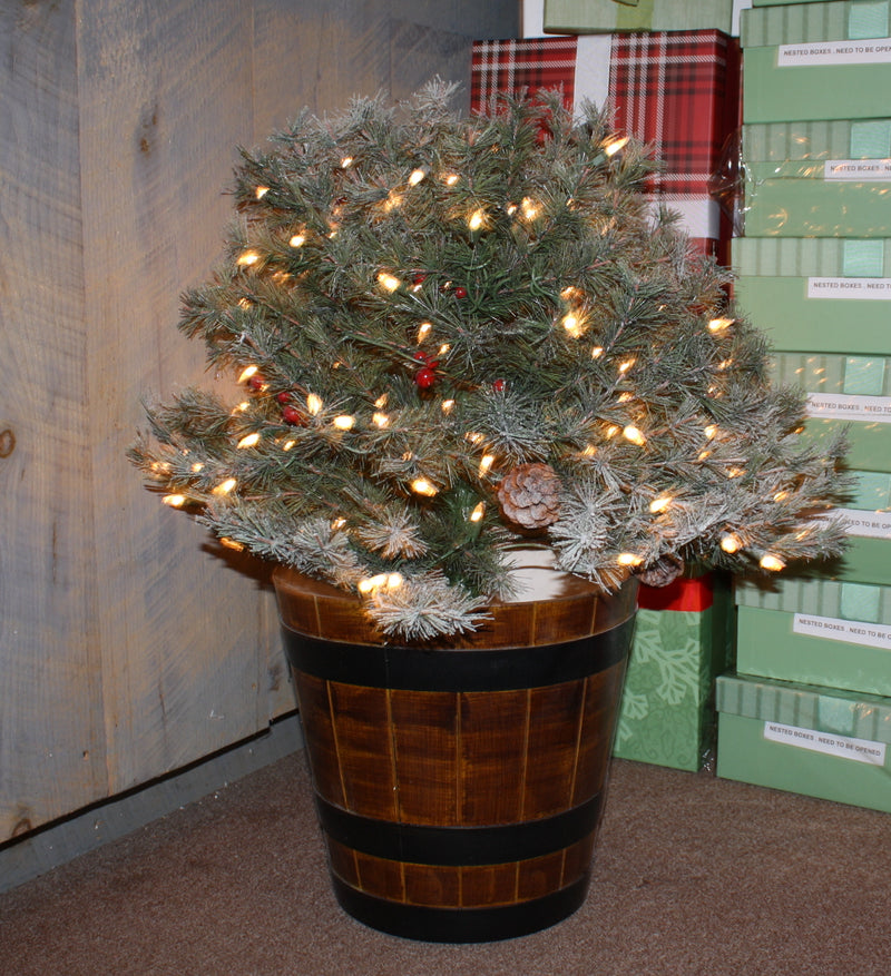 Prelit Potted Christmas Bush - 26 Inches Tall - The Country Christmas Loft
