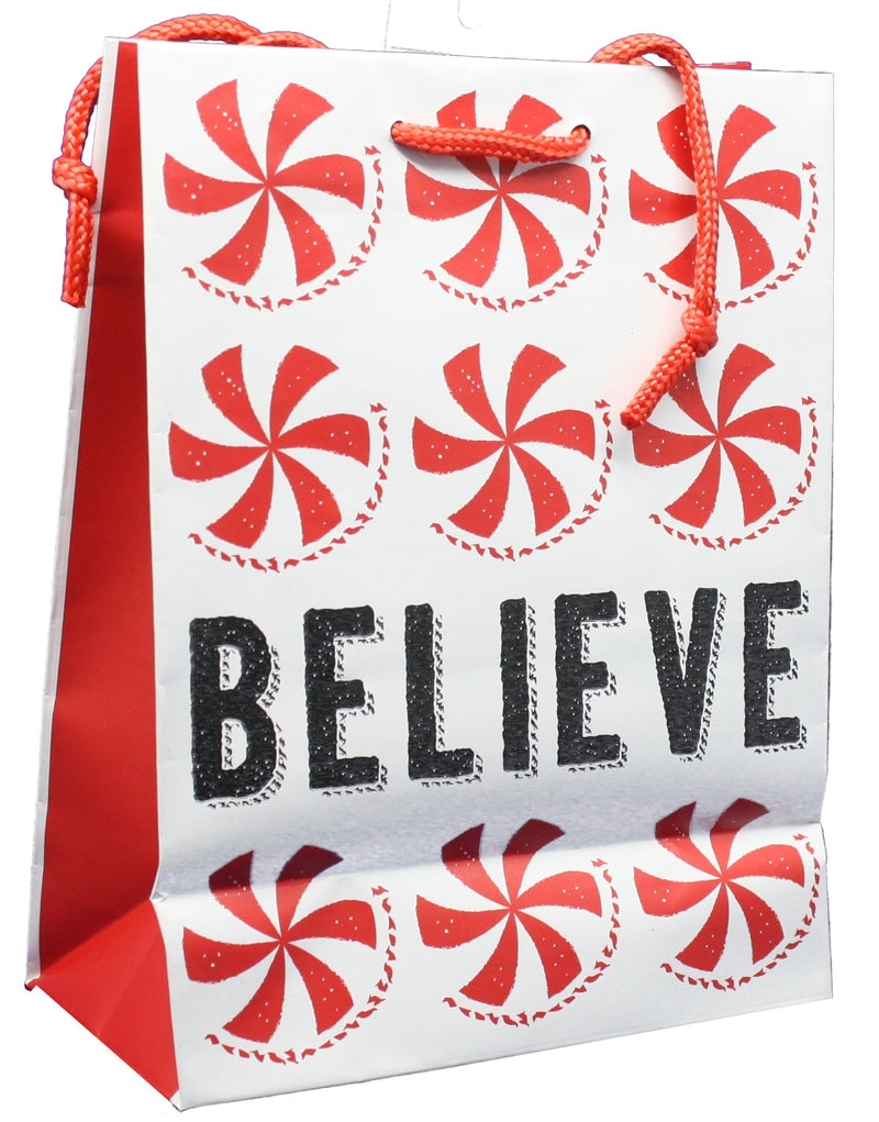 Contemporary Gift Bag With Tissue - Believe Medium - The Country Christmas Loft