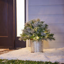 Pre-lit Flocked White Christmas Potted Bush - The Country Christmas Loft