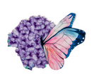 Butterfly Screen Saver -