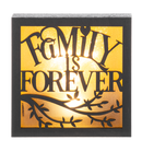 Laser Cut Light Up Blocks -