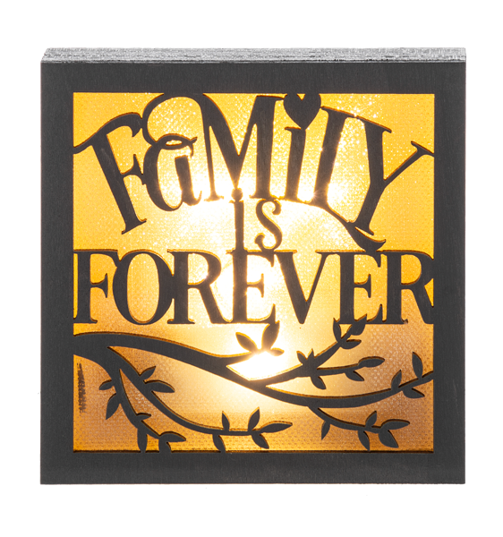 Laser Cut Light Up Blocks -