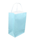 Junior Cub Pale Pastel Kraft Gift Bag Set of 8 - The Country Christmas Loft