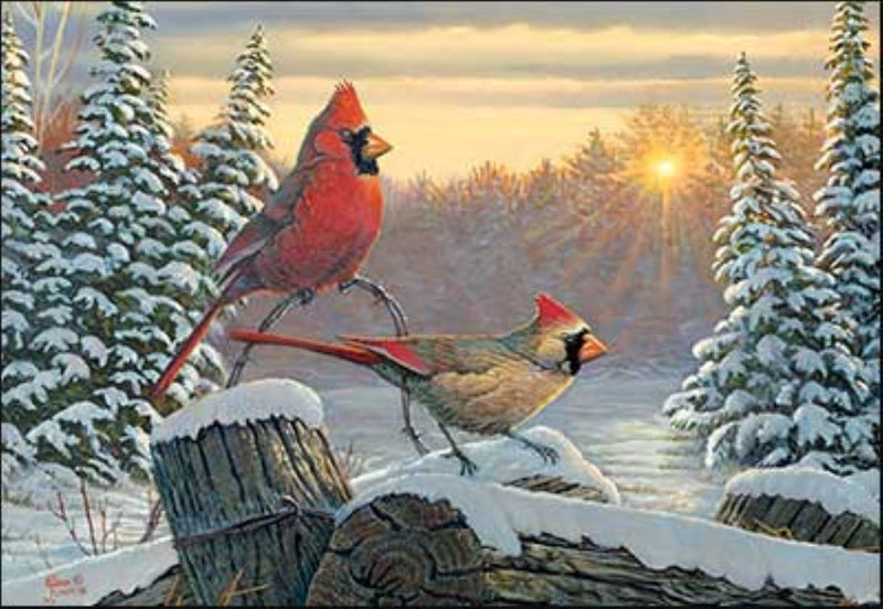 Cardinal Sunrise - Boxed Christmas Cards - The Country Christmas Loft