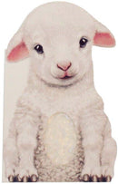 Furry Lamb Board Book