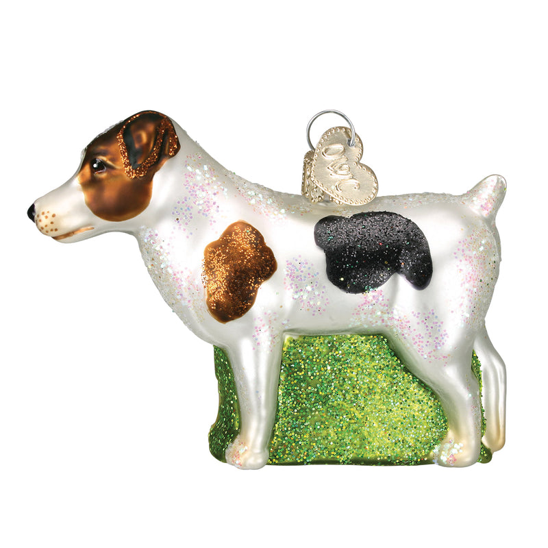 Old World Christmas Jack Russell Terrier  Ornament - The Country Christmas Loft