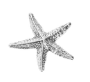 Stars in the Sea Charm - Gift Shoppe >> Jewelry >> Charms and Worry Stones - by Ganz - view 2