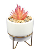 Potted Succulent on Metal Stand - - The Country Christmas Loft