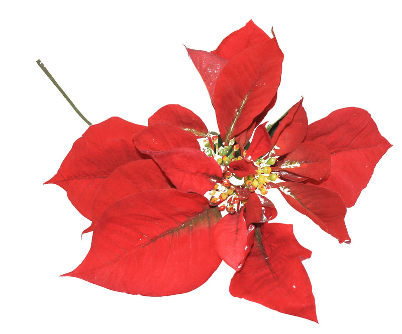 Huge Red/Violet Poinsettia Stem - The Country Christmas Loft