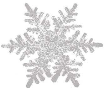 Snowflake Embossed Placecards - The Country Christmas Loft