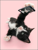 Notion - Selfie Birthday Card - The Country Christmas Loft