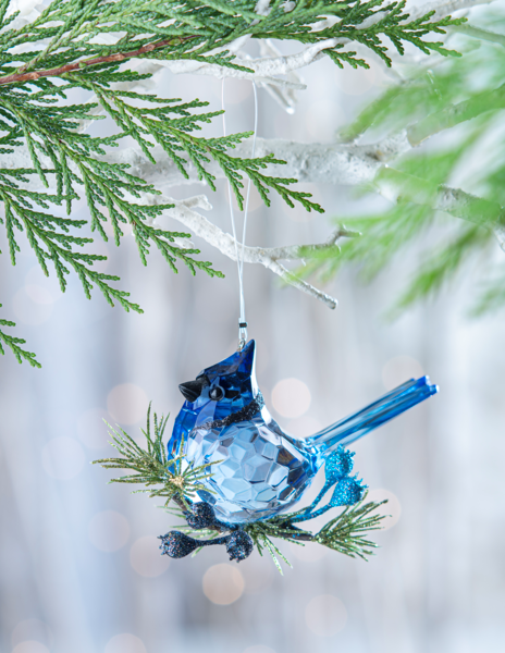 Acrylic Krystal Blue Jay Ornament - The Country Christmas Loft