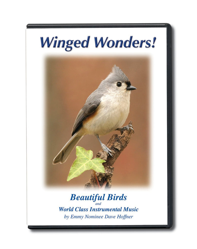 Winged Wonders Beautiful Birds DVD - The Country Christmas Loft