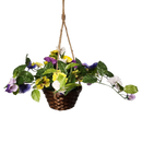 Trailing Pansy Flowers in 8" Hanging Bamboo Basket -