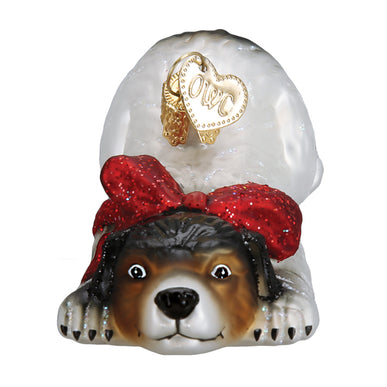 Norman Rockwell  Signature Dog - The Country Christmas Loft