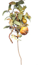 Pumpkin Leaf Spray - The Country Christmas Loft