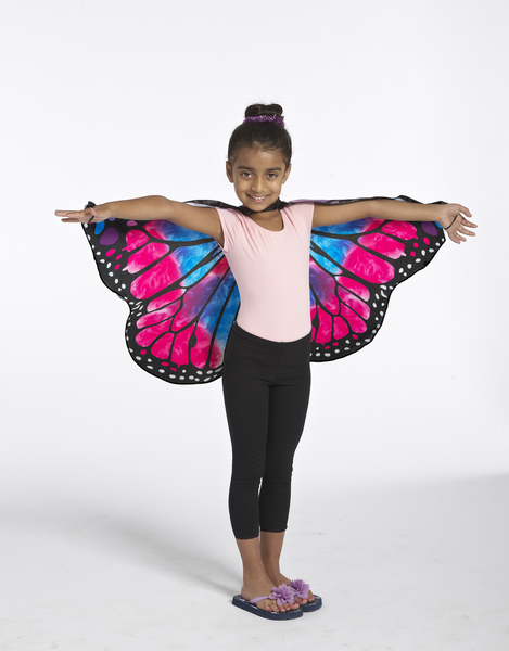 Costume Butterfly Wings