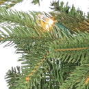 7.5' Natural Cut Frasier Fir - Clear Bulb - The Country Christmas Loft