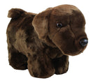 Plush Coin Bank - Chocolate Lab - The Country Christmas Loft
