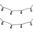 Kurt Adler Ul 20-Light Cool White Old Fashioned Light Set - The Country Christmas Loft