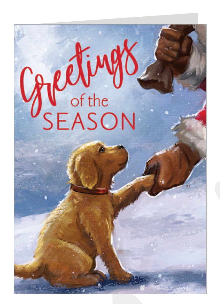 Love of Pets 18 Card Boxed Set (2020) - - The Country Christmas Loft