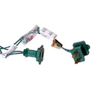 100-Light Clear Light Set With Green Wire - The Country Christmas Loft