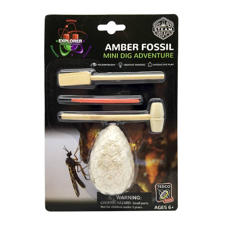 Amber Fossil Mini Dig