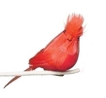4 Inch Red Feather Clip on Cardinal - The Country Christmas Loft
