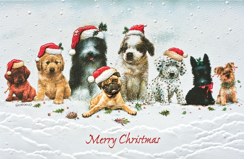 Christmas Canines Christmas Boxed Cards