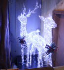 Lighted Reindeer Couple - 52 Inches tall