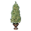 4 Foot Ponderosa Potted Tree