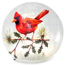 LED Cardinal and Holly Globe
