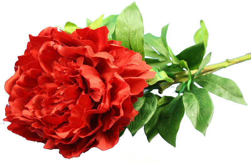 Everyday Longstem Satin Peony - Red - 35 Inch - The Country Christmas Loft